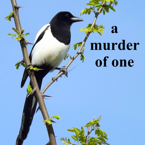Counting Crows